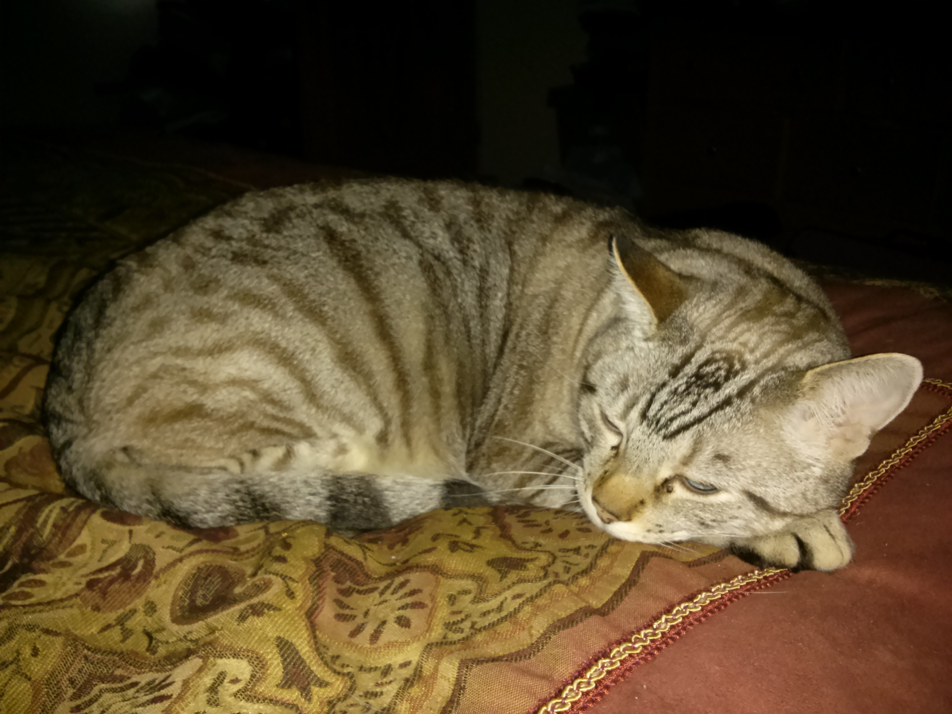 0509151408.jpg