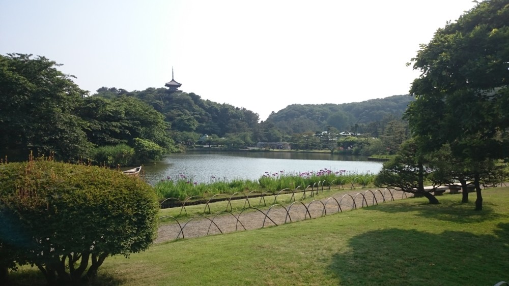 DSC_0001.JPG
