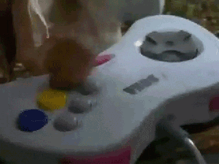 fO3HRVE.gif