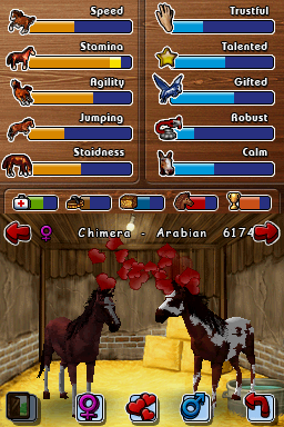 horse24.png