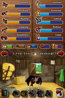 horse25.png