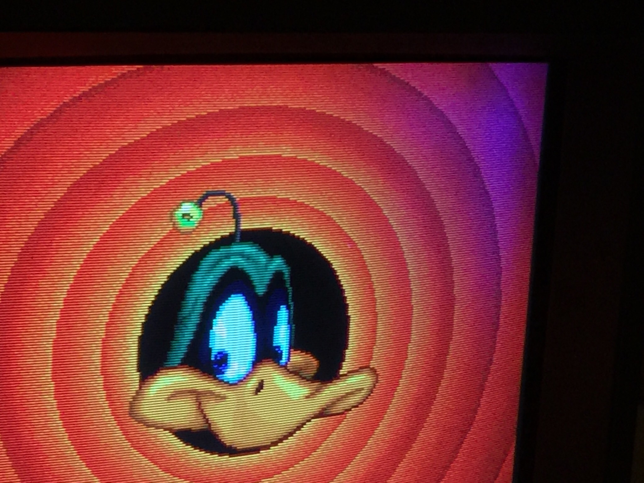 image.jpg