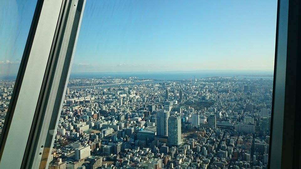 skytree1.jpeg