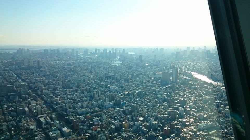 skytree3.jpeg