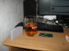IMG_1441.JPG