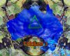 SCED_015.70_16072011_144638_0016.jpg
