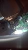 WP_20160107_006.jpg