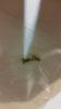 20160504_212312.jpg