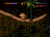 gameplay.PNG