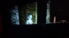 20170702_233516.jpg