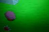 22135706_10155533694846138_7724656055248826715_o.jpg