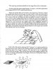 flip_out_gorilla_systems_memos_8.jpg