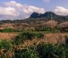 DSC03516.jpg