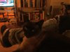DSCF3935.JPG