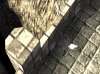 51_Bird_zpsf43666f4.jpg