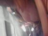 tits.jpg