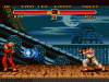 genesis_super_street_fighter_ii_-_the_new_challengers_2.gif