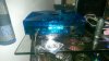 XBox - Black n Blue.jpg