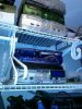 CAM00296.jpg