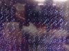 DSC01538.JPG