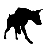 no0bi1