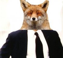 FoxMurderer