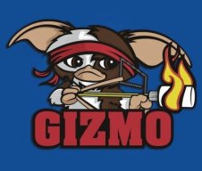 Gizmo613