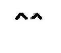 Ravn