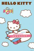 Airfare