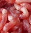 Hackfleisch
