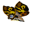 Mothra