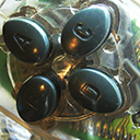 fudgonaut