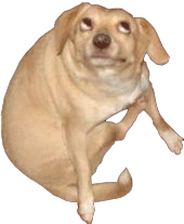 Concas