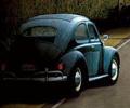ovalbugmann