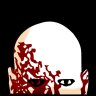 spawnhsop