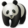 AnimalBear