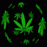 420manhigh