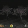 Tenchu