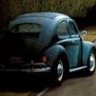 ovalbugmann