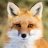 Renard